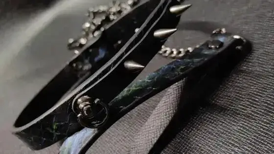 字母圈新人必须知道的基础术语解析与实践指南
