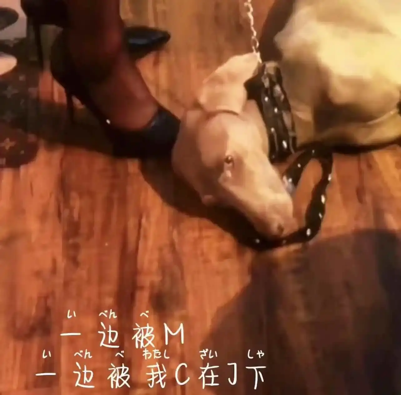 【西檬之家】TK是什么？字母圈中的挠痒互动指南