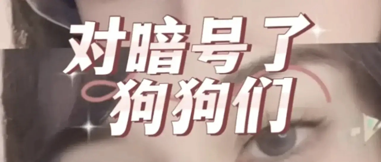 【西檬之家】S属性是什么意思？字母圈新人必知的Dom与Sub区别