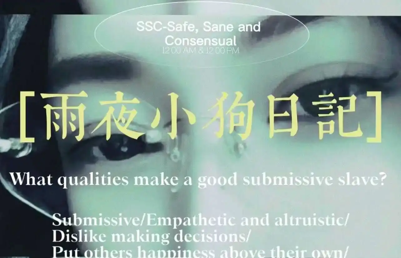 西檬之家-k8猫系：BDSM中的猫咪角色扮演完全指南
