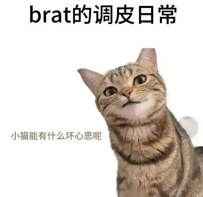 Dirty talk是什么 - 微信图片_20251203212836_109_19