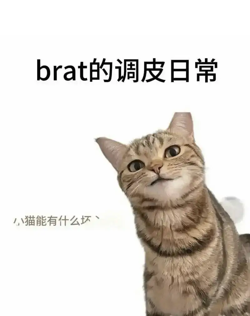 西檬之家-BD是什么？新人的字母圈游戏指南