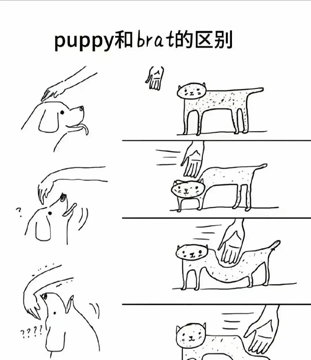 k9是什么 - 微信图片_2025-11-13_180940_765