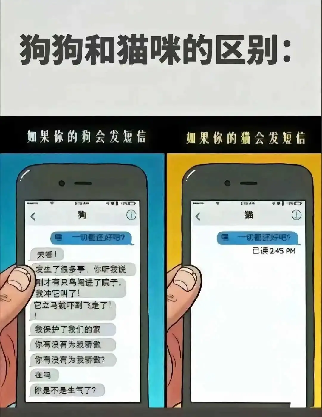 【西檬之家】字母圈新人入圈：BDSM核心术语与安全指南